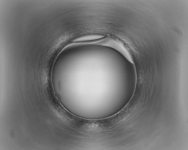 X0000116340687200912011350