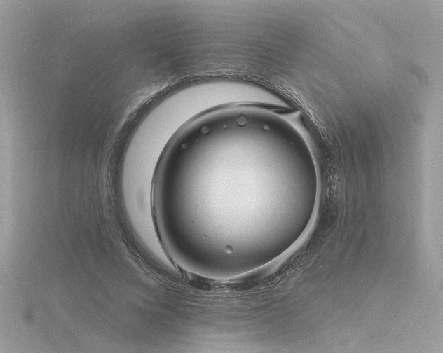 X0000116340688200912011350