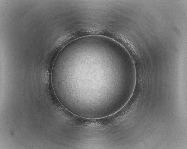 X0000116340689200912011350