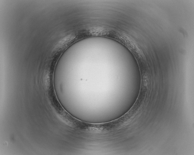 X0000116340690200912011350