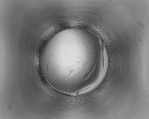 X0000116340691200912011350