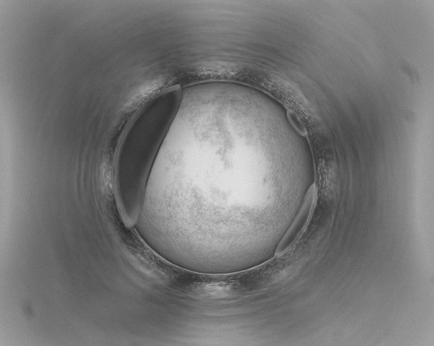 X0000116340692200912011350