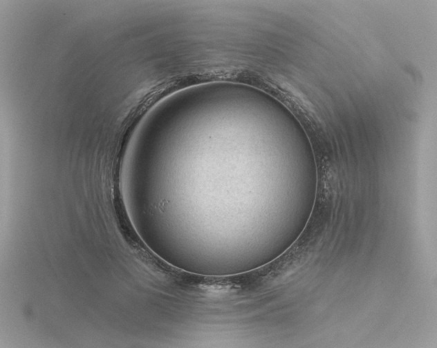 X0000116340693200912011350