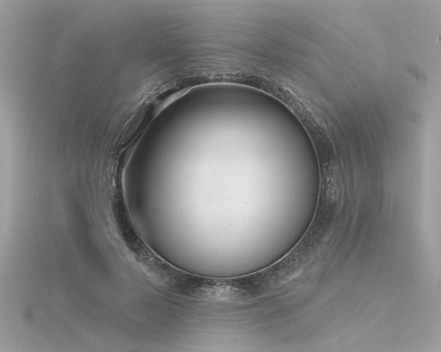 X0000116340695200912011350