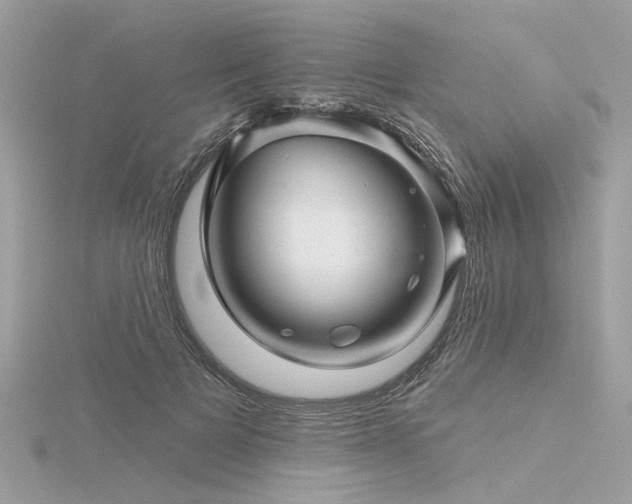 X0000116340697200912011350