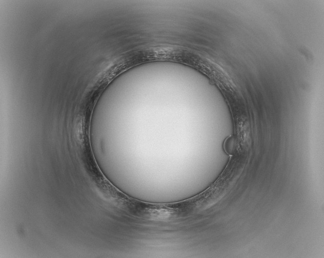 X0000116340698200912011350