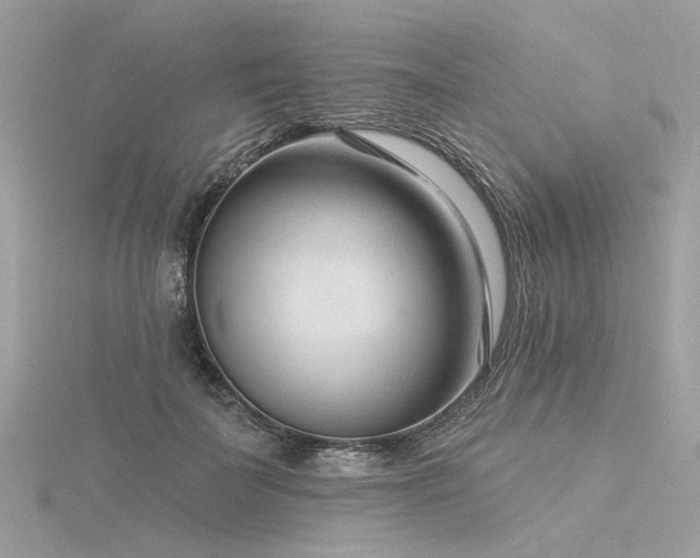 X0000116340699200912011350