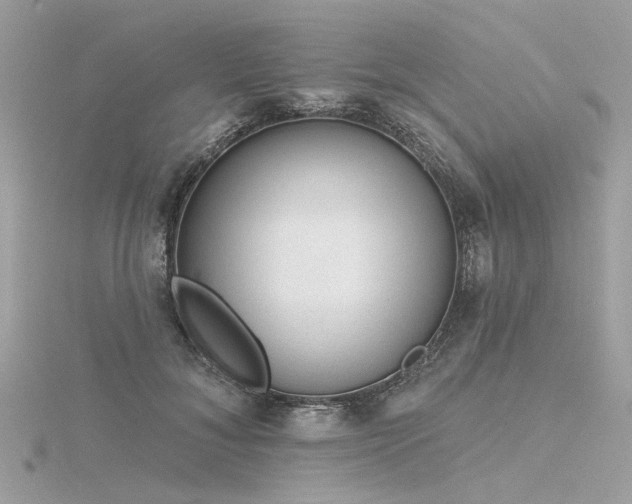 X0000116340700200912011350