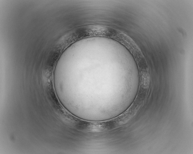 X0000116340701200912011350