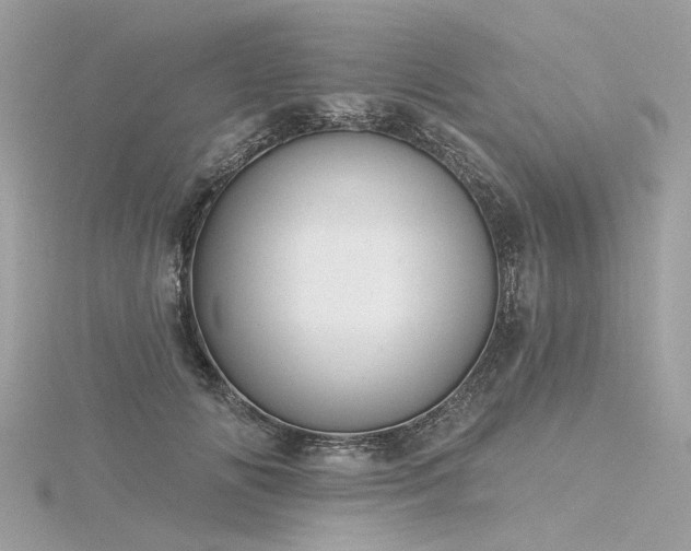 X0000116340702200912011350