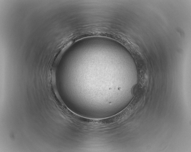 X0000116340704200912011350