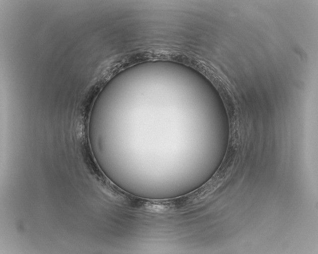 X0000116340706200912011350