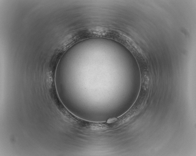 X0000116340707200912011349