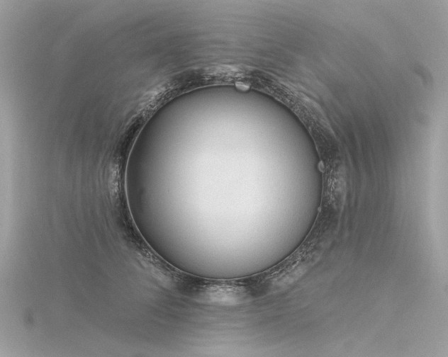 X0000116340708200912011349