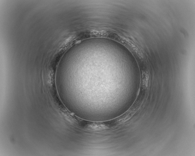 X0000116340712200912011349