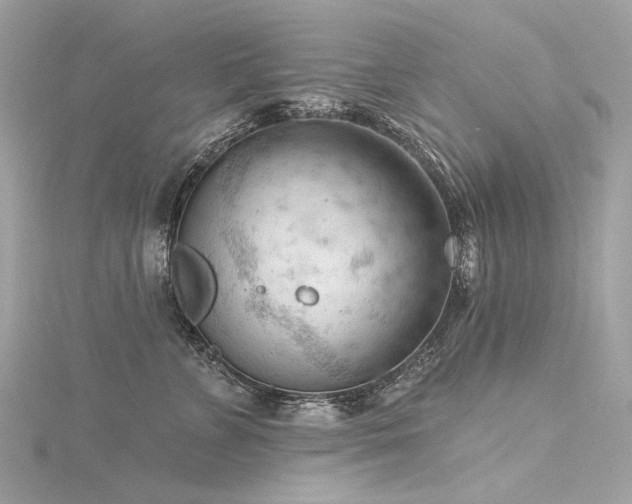 X0000116340715200912011349