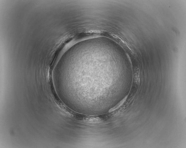 X0000116340716200912011349