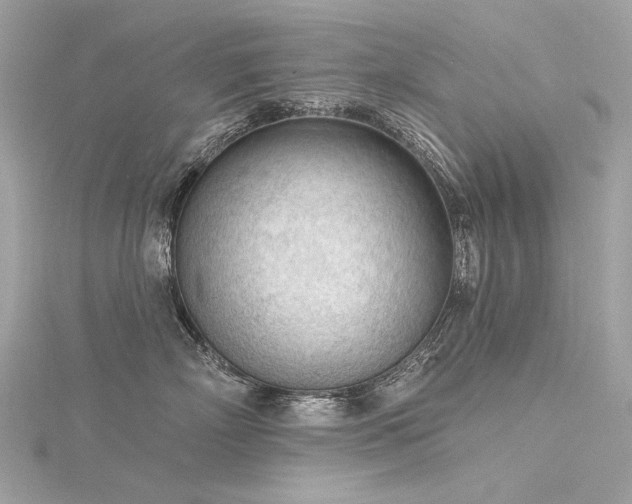 X0000116340718200912011349