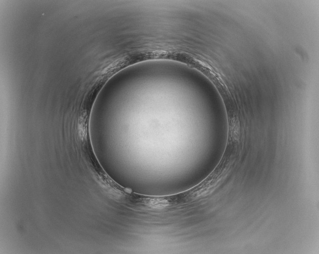 X0000116340719200912011349