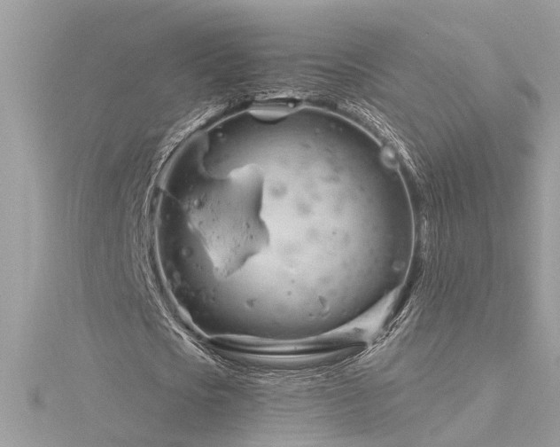 X0000116340721200912011349