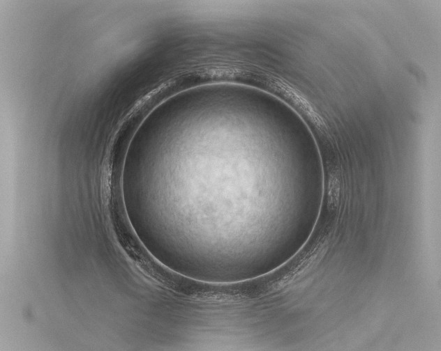 X0000116340722200912011349