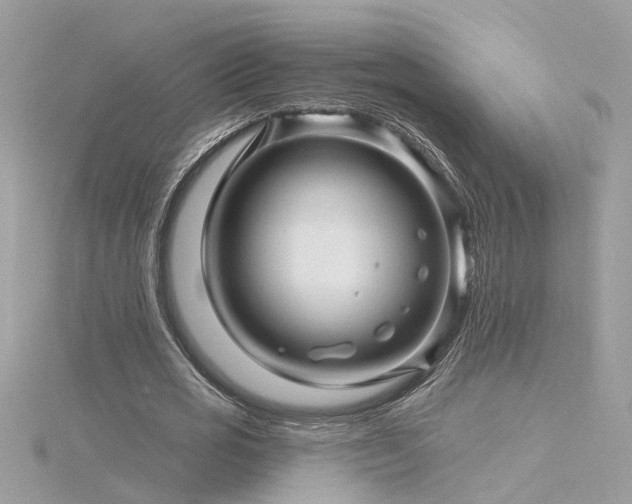 X0000116340725200912011349