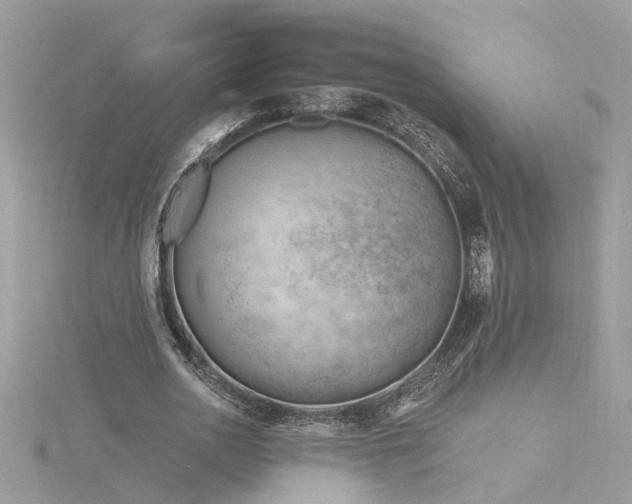 X0000116340726200912011349