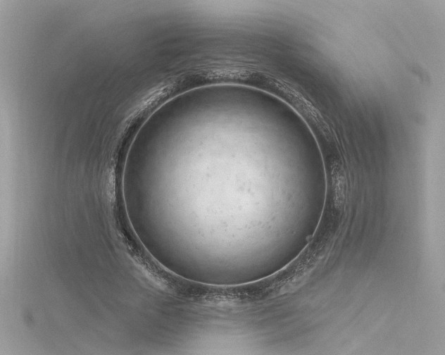 X0000116340729200912011349