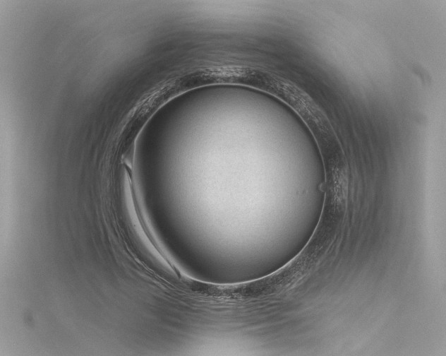 X0000116340731200912011349