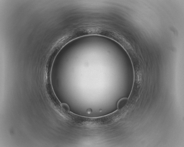 X0000116340733200912011349