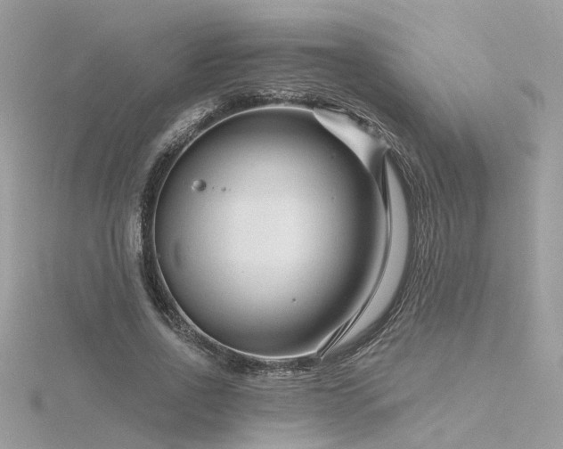 X0000116340734200912011349