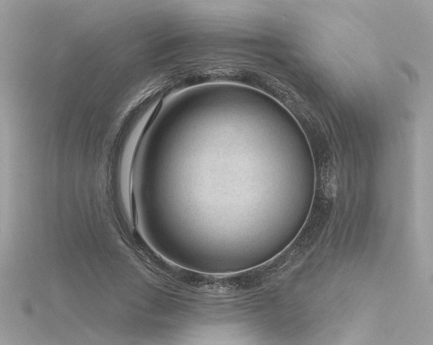 X0000116340735200912011349