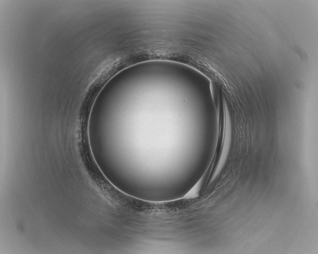 X0000116340738200912011349