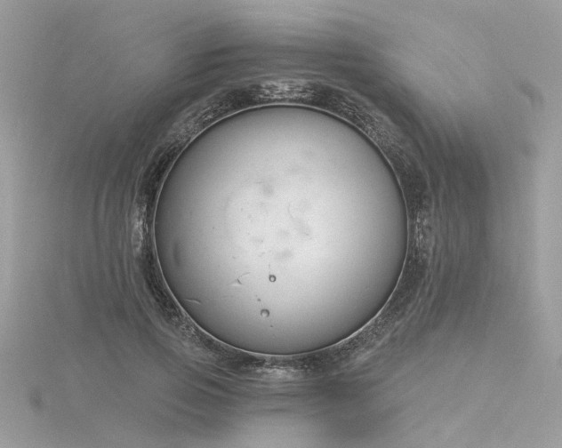 X0000116340741200912011349