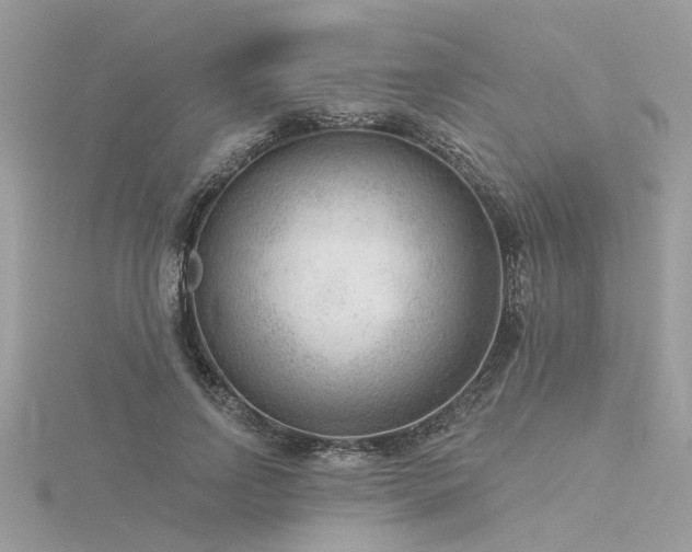 X0000116340742200912011349