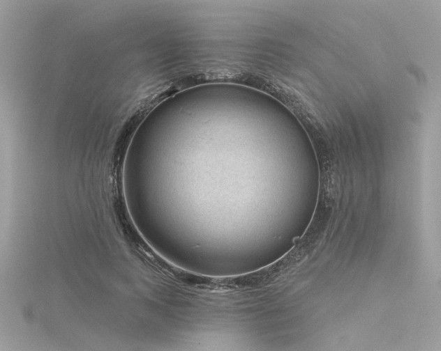 X0000116340743200912011349