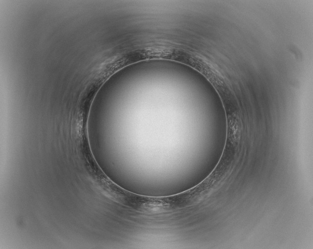 X0000116340745200912011349