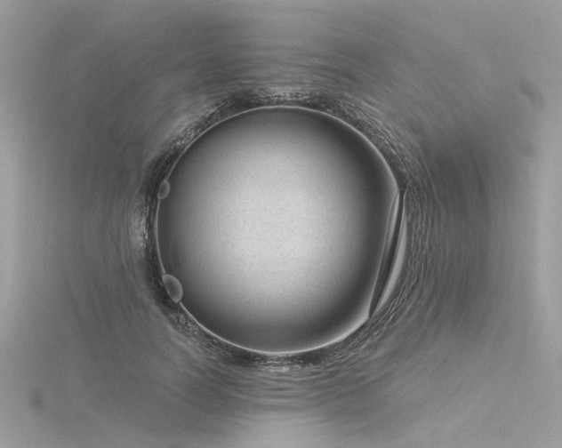 X0000116340746200912011349