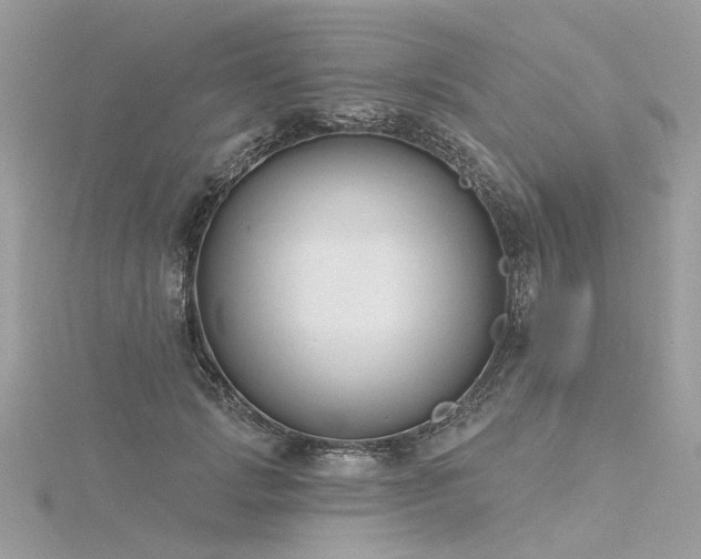 X0000116340749200912011349