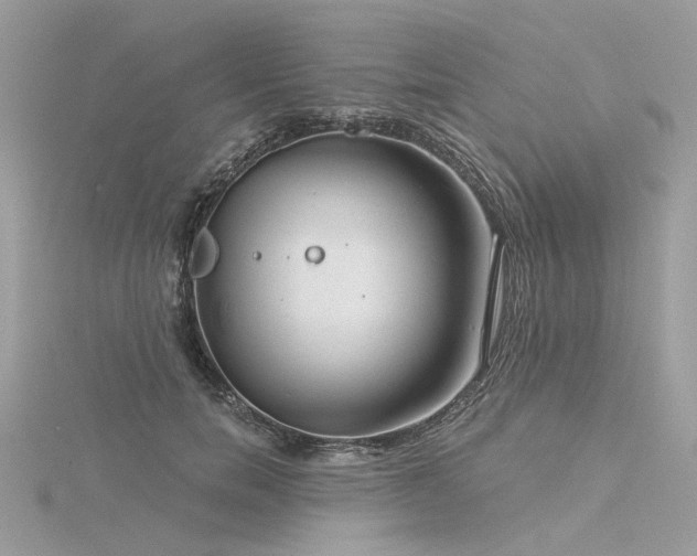 X0000116340750200912011349