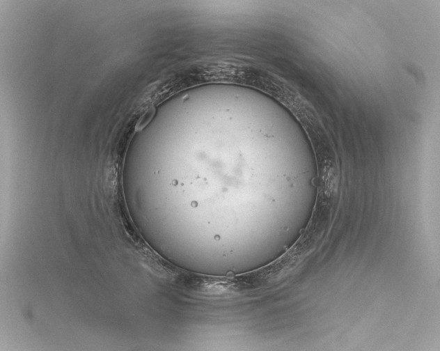 X0000116340753200912011349