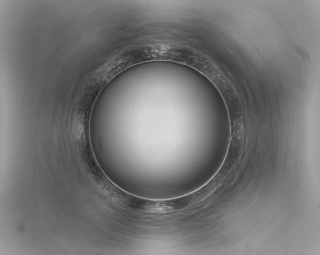 X0000116340754200912011349