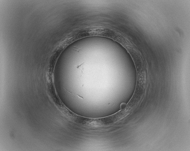 X0000116340755200912011349