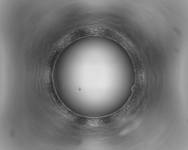 X0000116340757200912011349