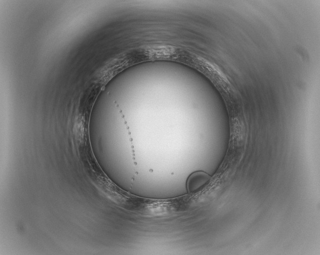 X0000116340761200912011349