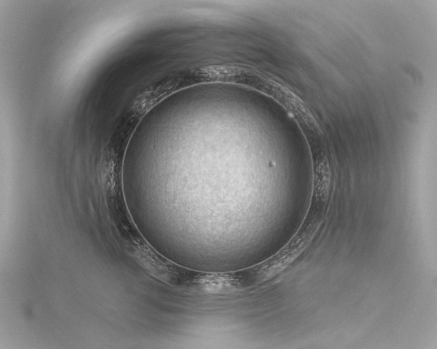 X0000116340762200912011349