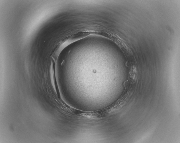 X0000116340763200912011349