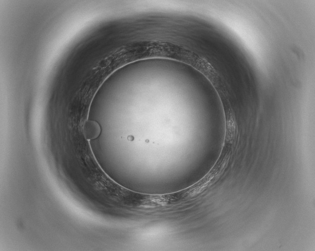 X0000116340765200912011349