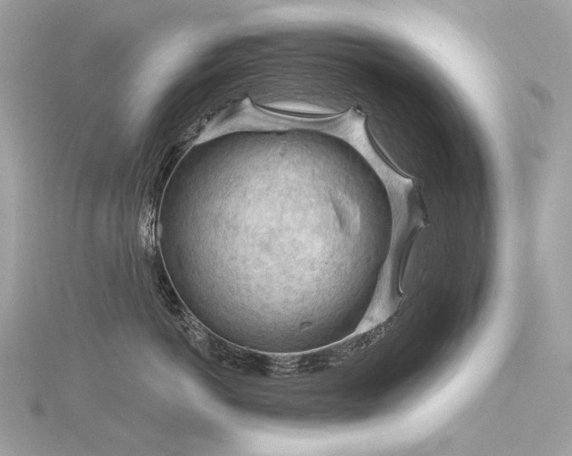 X0000116340766200912011349