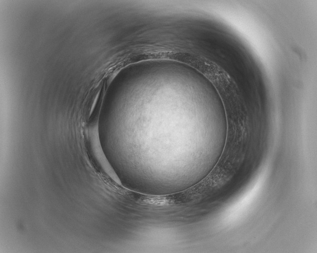 X0000116340767200912011349